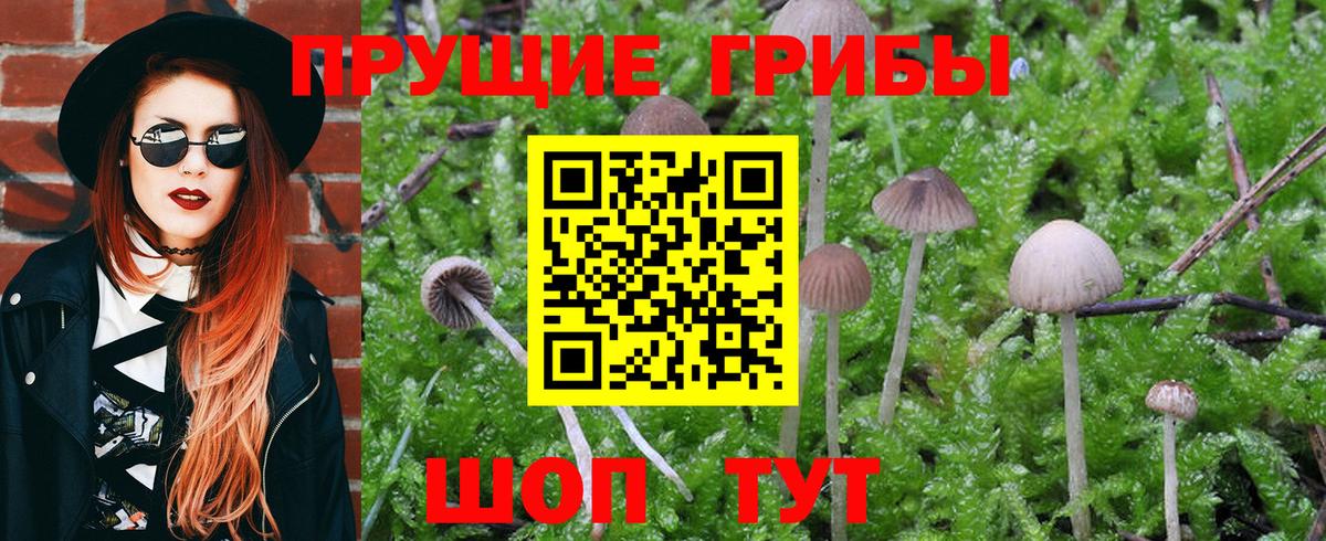 закладки  Вход с VPN  Амурск  Галлюциногенные грибы Magic Shrooms 